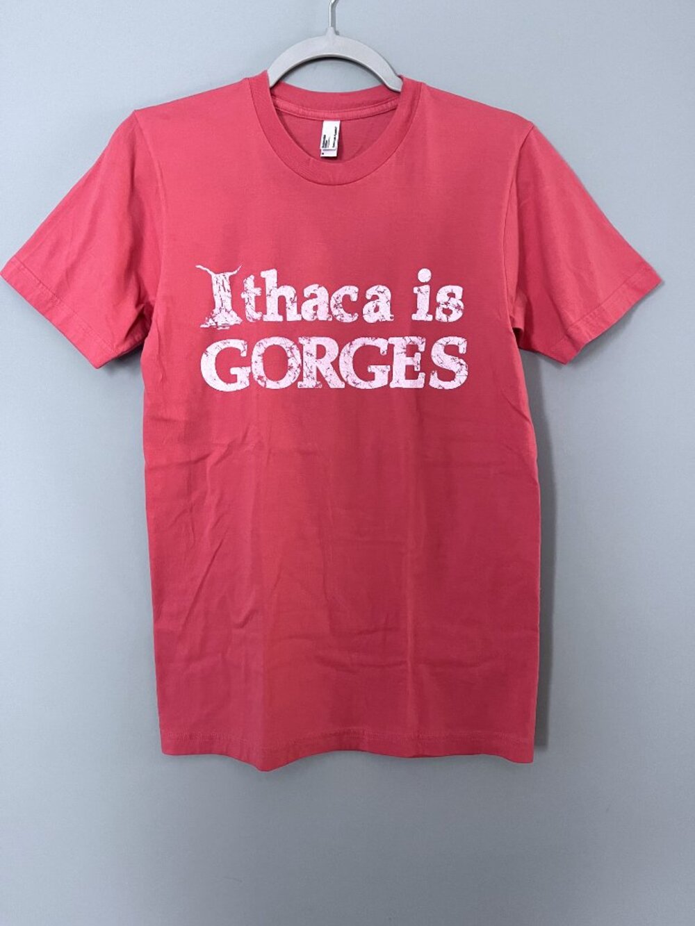 American Apparel "Ithaca is Gorges" T-Shirt (Pink) S